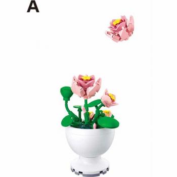 Sluban - Potted Plants - Φυτά σε Γλάστρες - Lotus