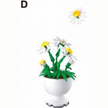 Sluban - Potted Plants - Φυτά σε Γλάστρες - Daisy