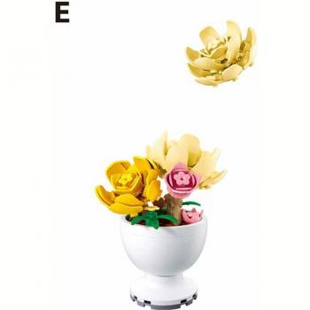 Sluban - Potted Plants - Φυτά σε Γλάστρες - Tree Peony