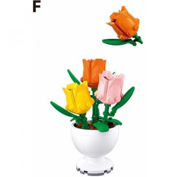 Sluban - Potted Plants - Φυτά σε Γλάστρες - Tulip