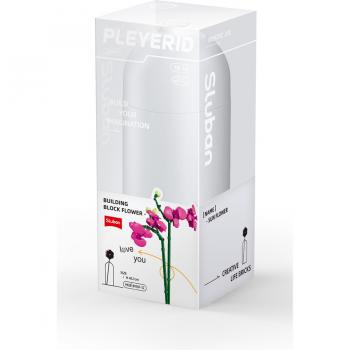 Sluban - Butterfly Orchid -  Ορχιδέα πεταλούδα