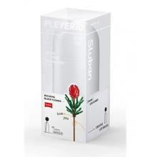 Sluban - Tibouchina urvilleana - Tibouchina urvilleana