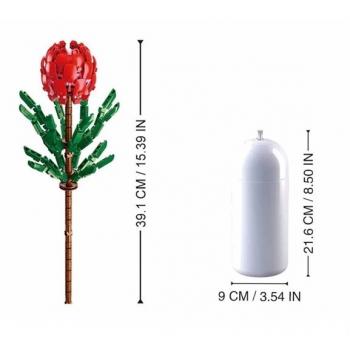 Sluban - Tibouchina urvilleana - Tibouchina urvilleana