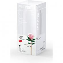 Sluban - Protea Cynaroides - Πρωτέα Κυναροειδή