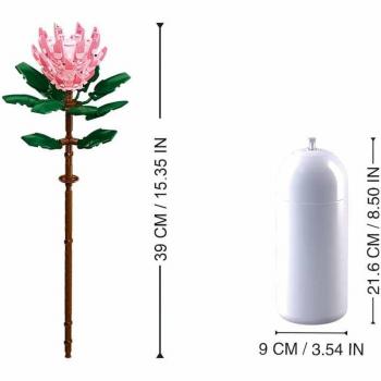 Sluban - Protea Cynaroides - Πρωτέα Κυναροειδή